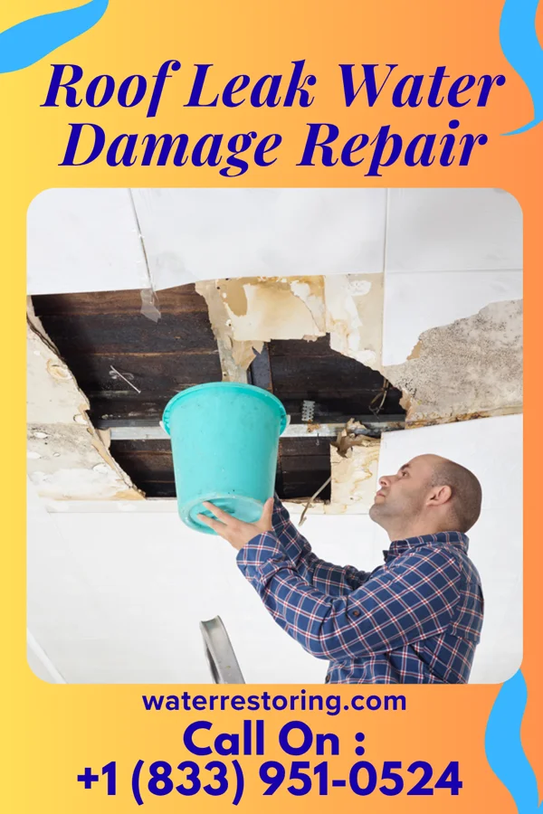 Roof Leak Water Damage Repair in Bixby, TX